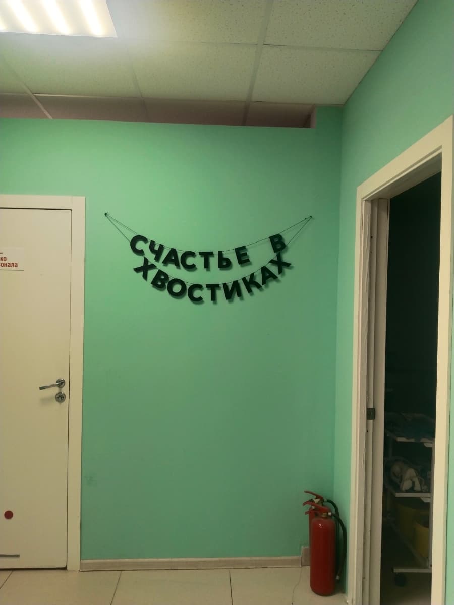Фотография покупателя: Гирлянды
