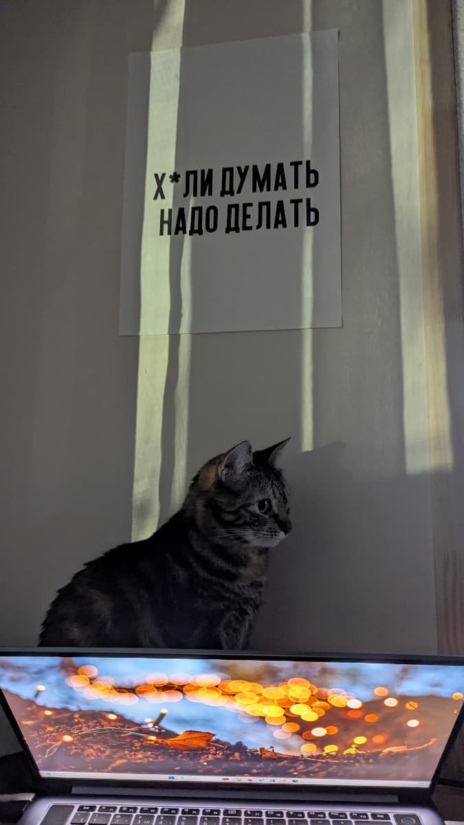 Фотография покупателя: Постеры
