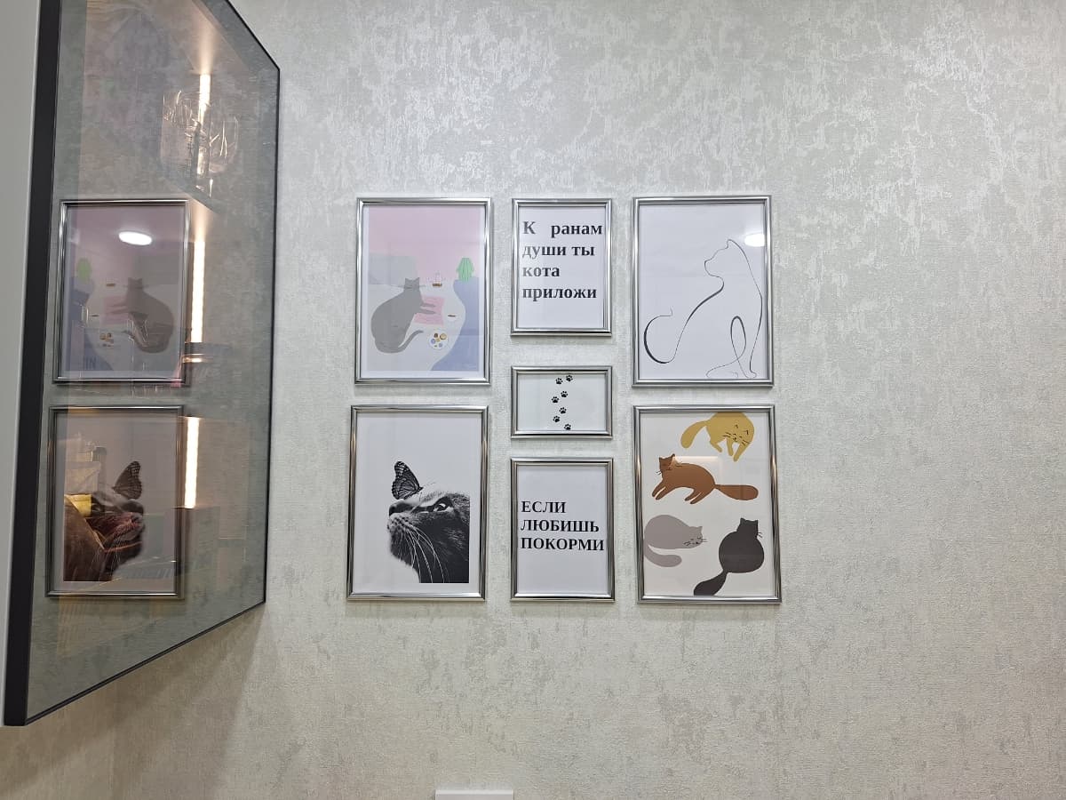 Фотография покупателя: Постеры