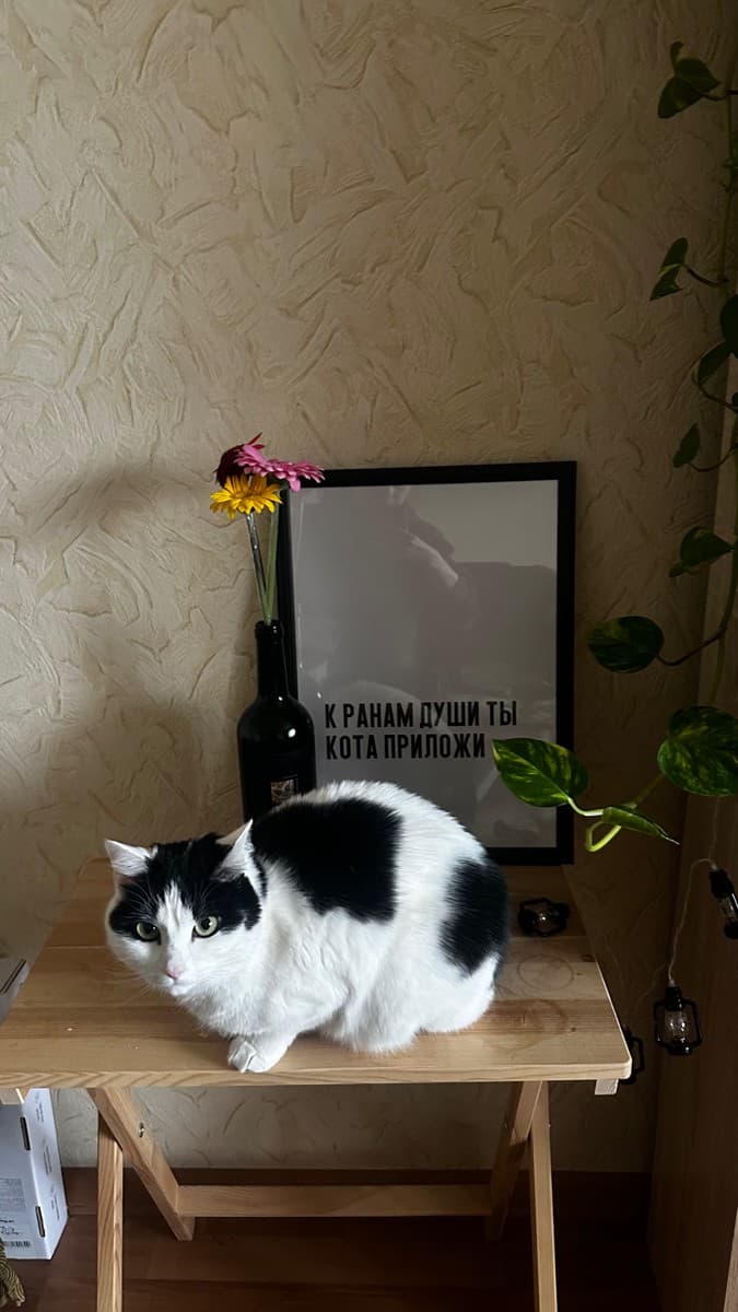 Фотография покупателя: Постеры