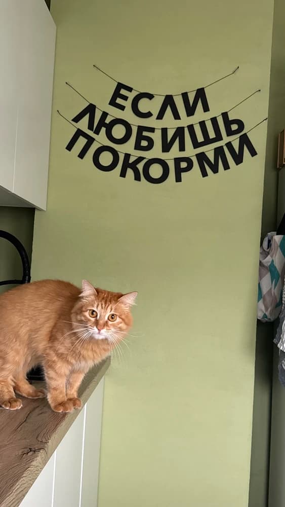 Фотография покупателя: Гирлянды