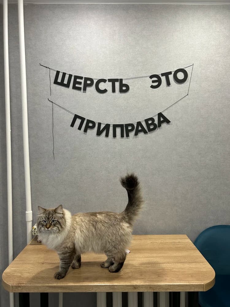 Фотография покупателя: Гирлянды