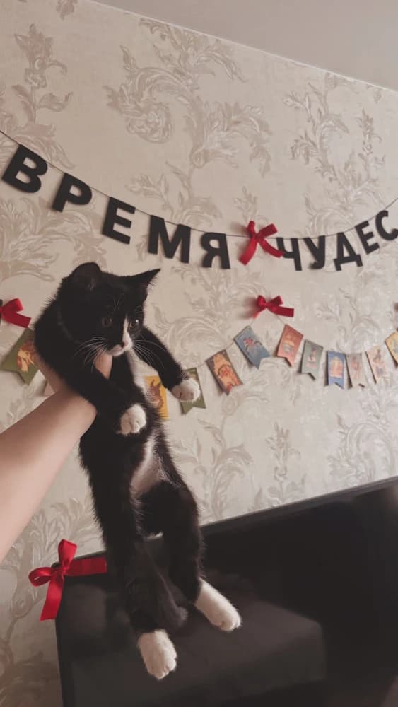 Фотография покупателя: Гирлянды