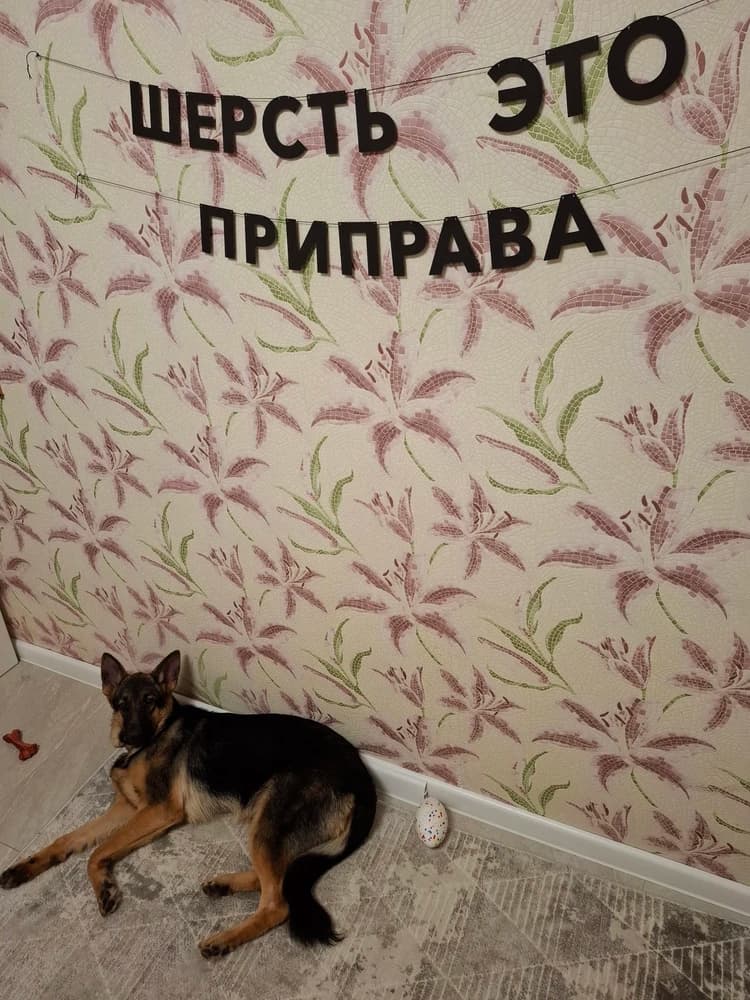 Фотография покупателя: Гирлянды