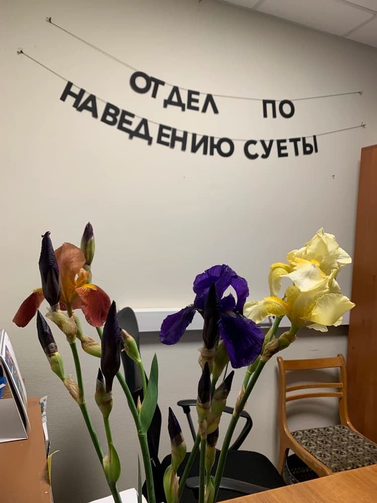 Фотография покупателя: Гирлянды