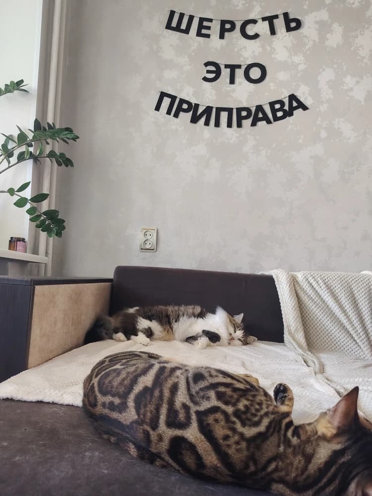 Фотография покупателя: Гирлянды