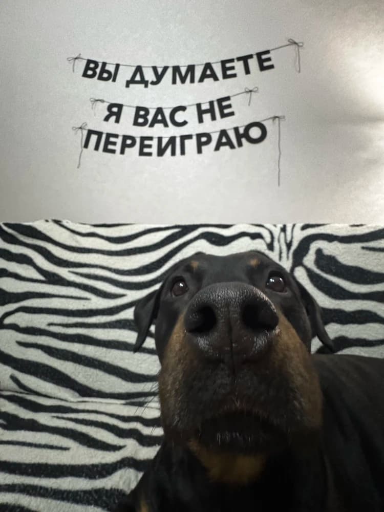 Фотография покупателя: Гирлянды