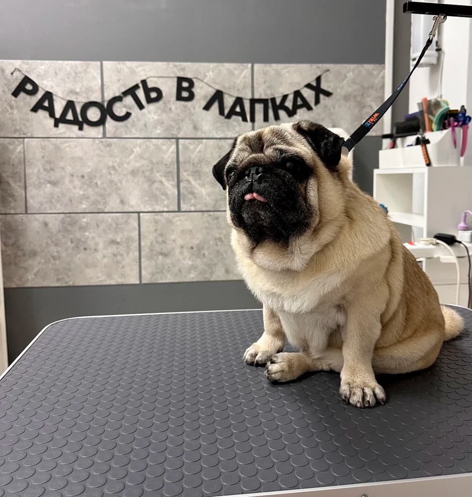 Фотография покупателя: Гирлянды