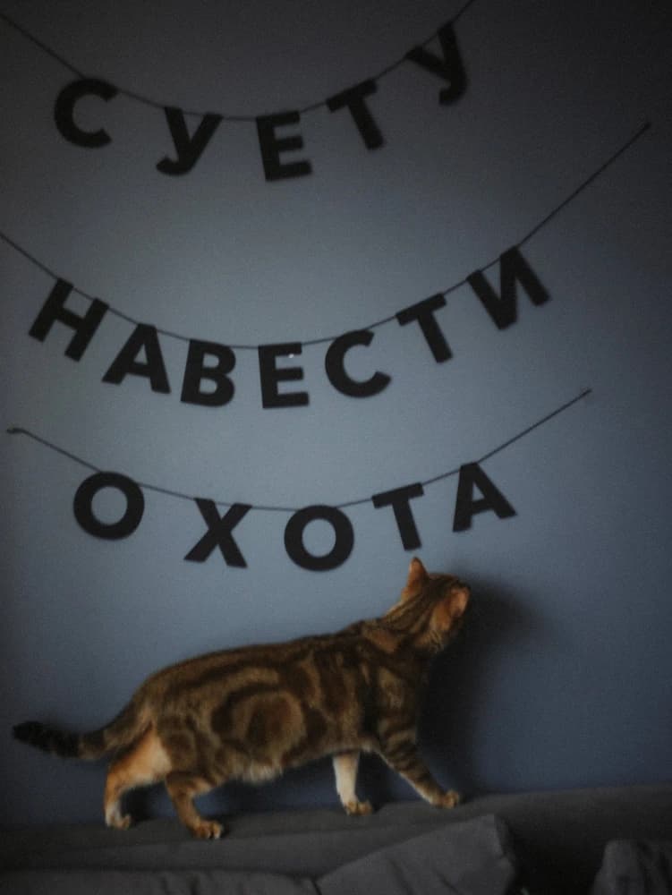 Фотография покупателя: Гирлянды