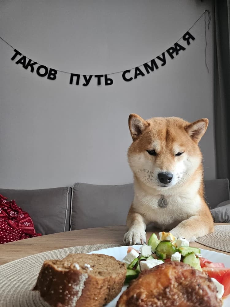 Фотография покупателя: Гирлянды