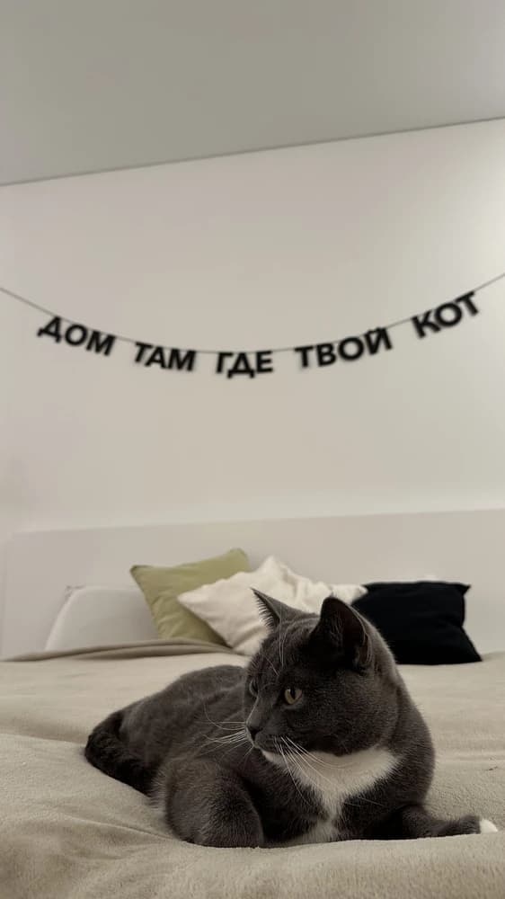 Фотография покупателя: Гирлянды