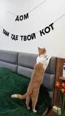 Фотография покупателя: Гирлянды