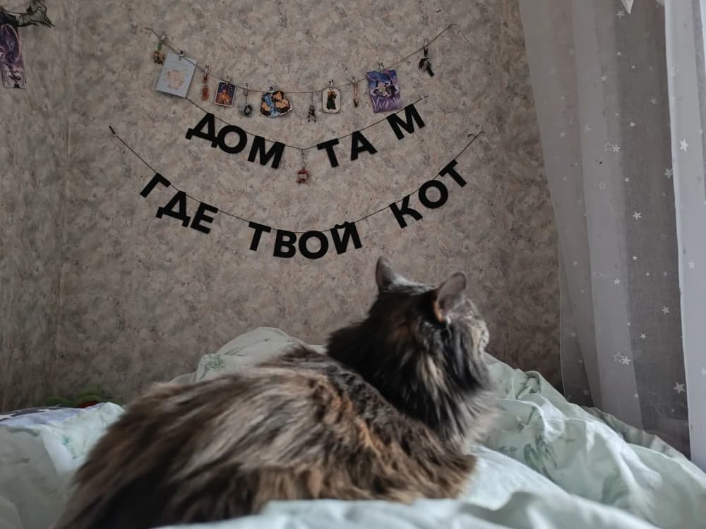 Фотография покупателя: Гирлянды