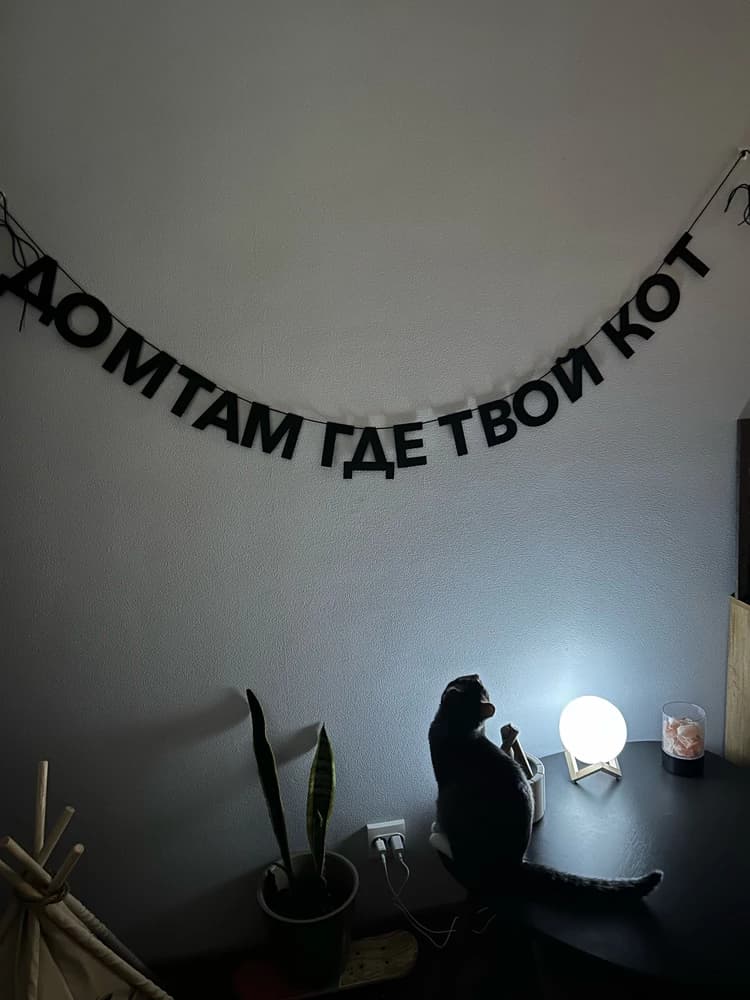 Фотография покупателя: Гирлянды