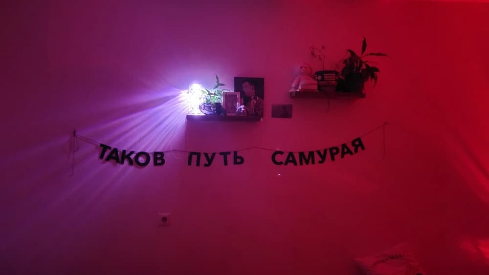 Фотография покупателя: Гирлянды