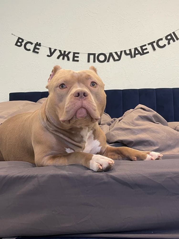 Фотография покупателя: Гирлянды
