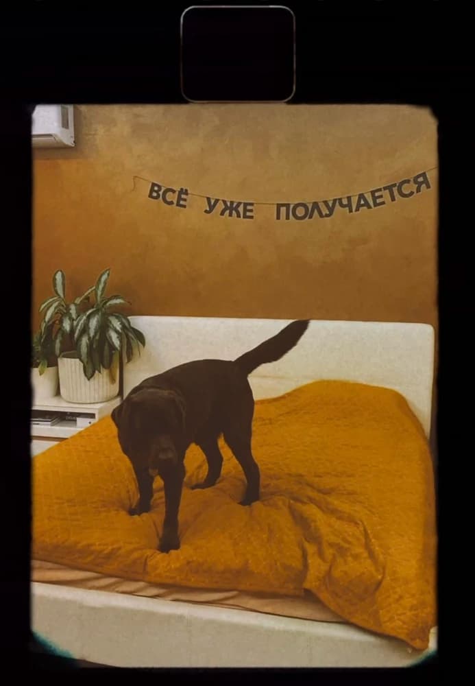 Фотография покупателя: Гирлянды