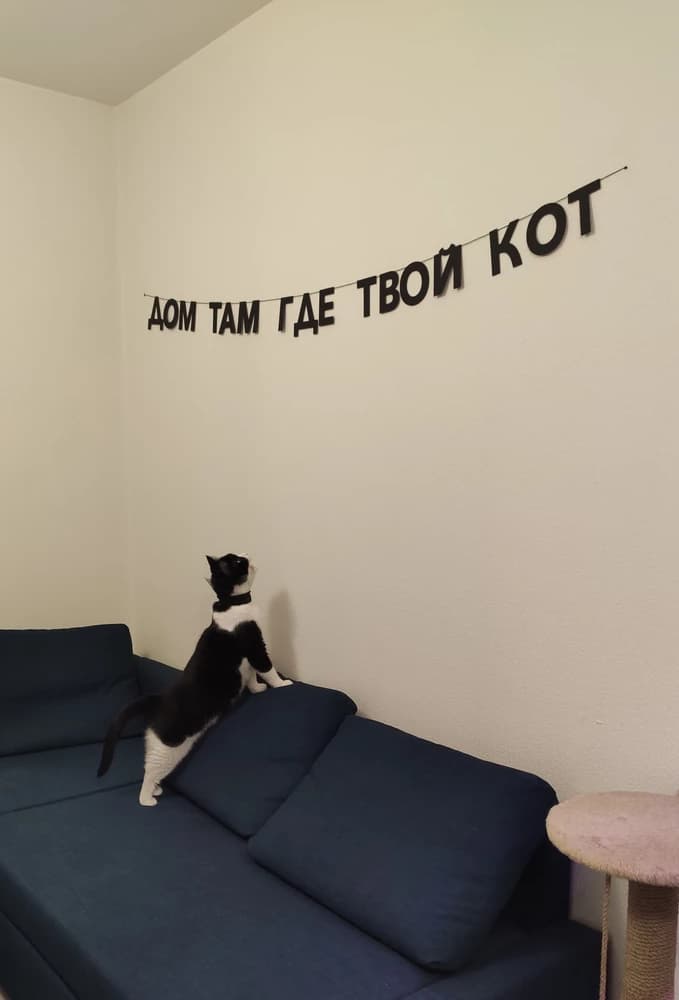Фотография покупателя: Гирлянды