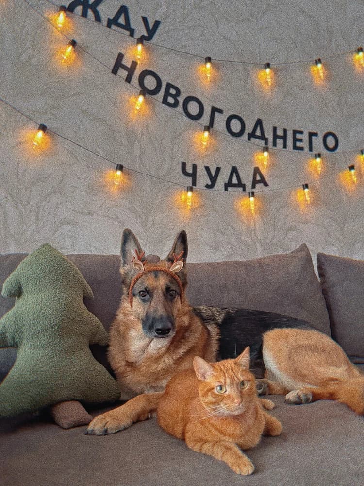 Фотография покупателя: Гирлянды