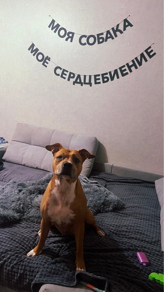 Отзыв покупателя: Гирлянды