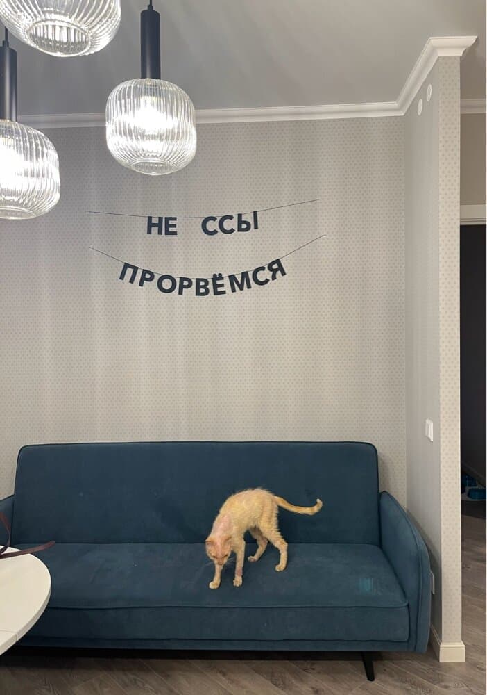 Отзыв покупателя: Гирлянды