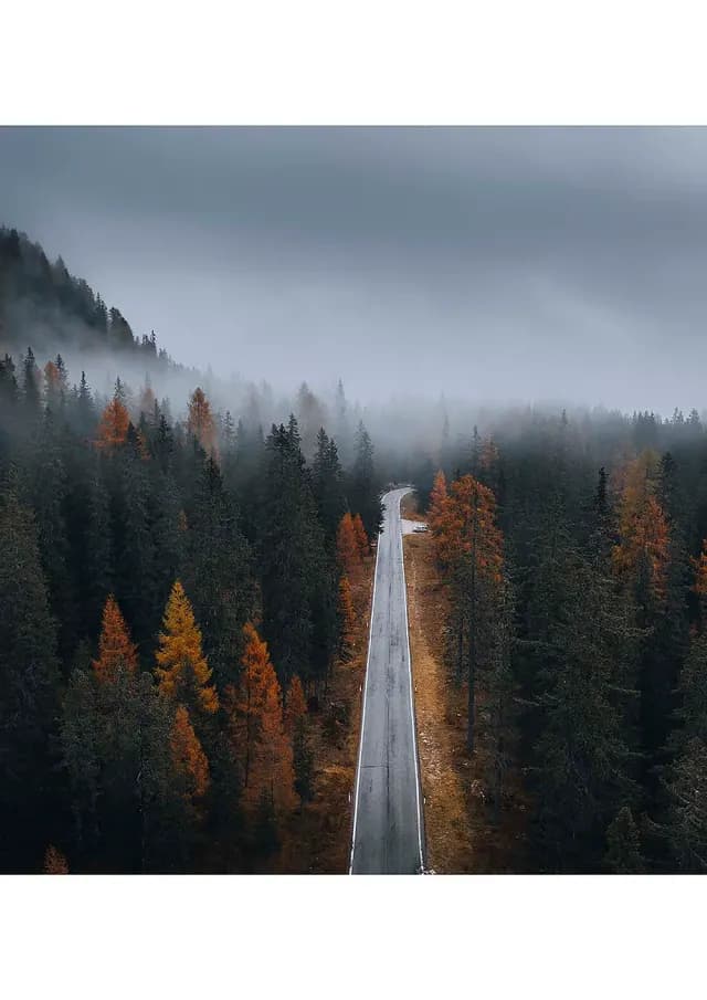 Постер 1354