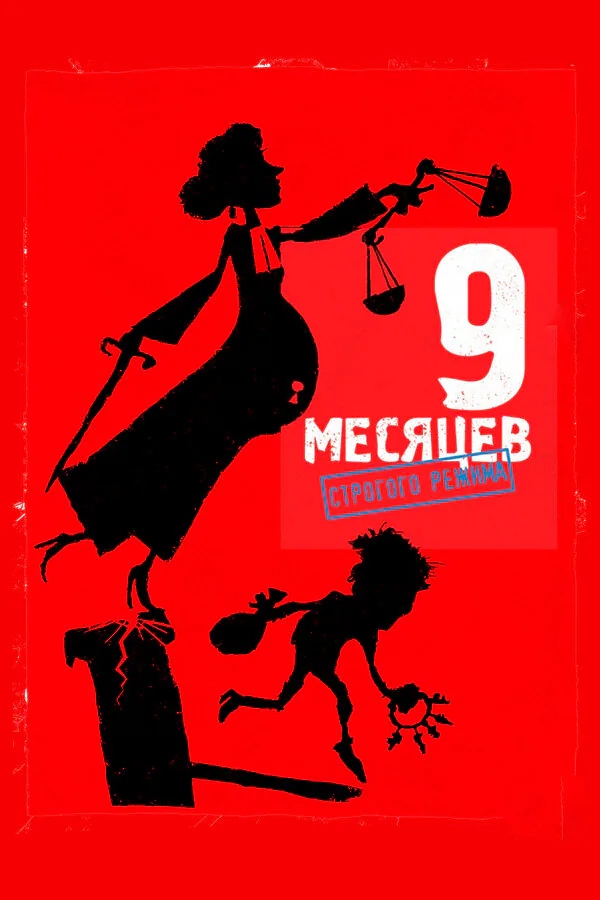 Обложка фильма «9 месяцев строгого режима»