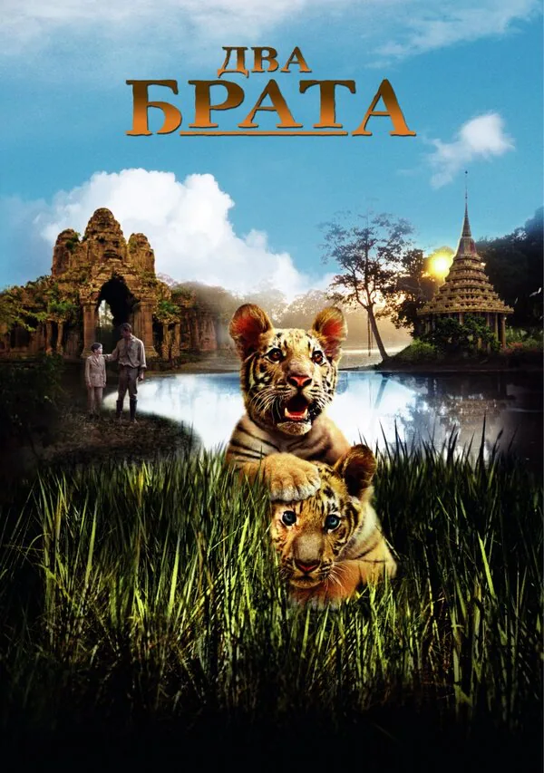 Обложка фильма «Два брата»