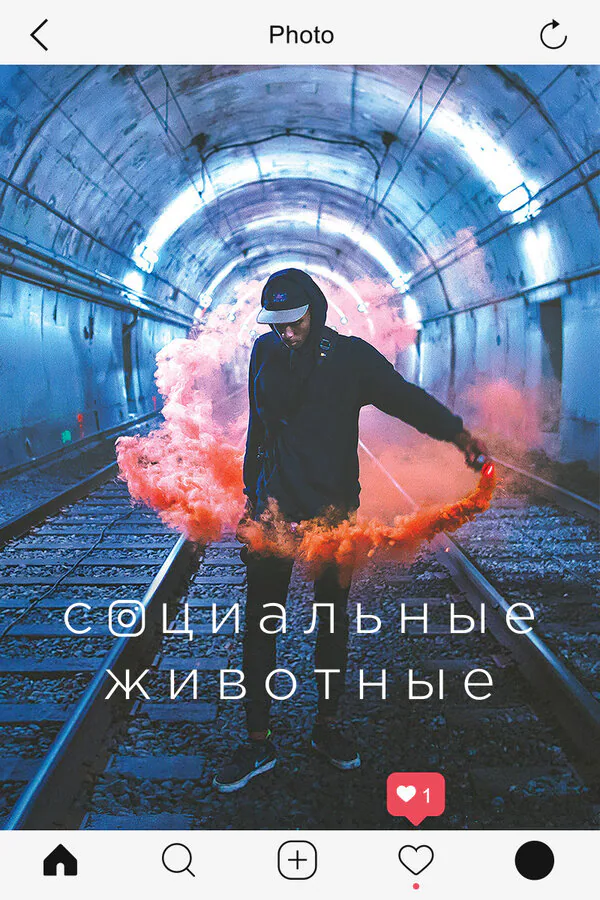 Обложка фильма «Социальные животные»