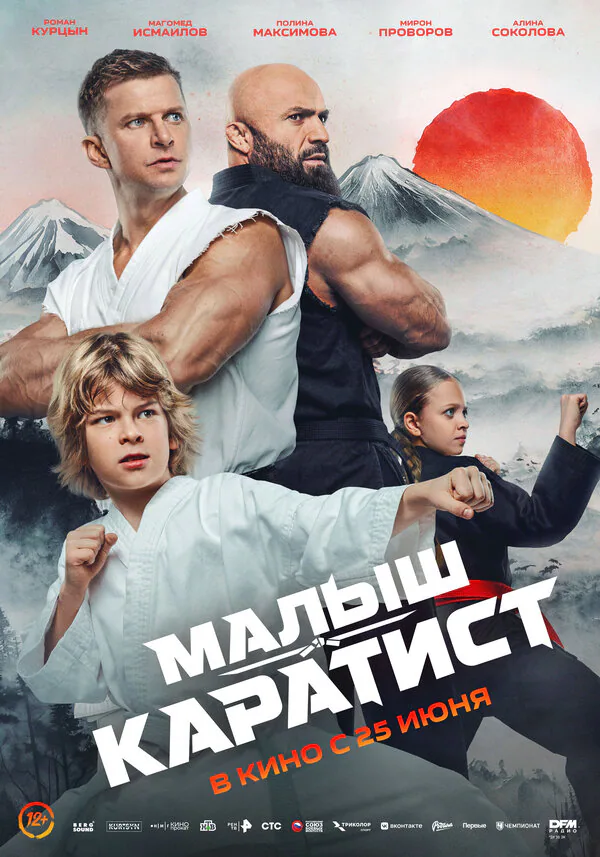 Обложка фильма «Малыш-каратист»