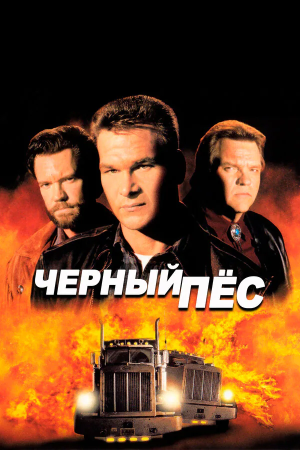 Обложка фильма «Черный пес»