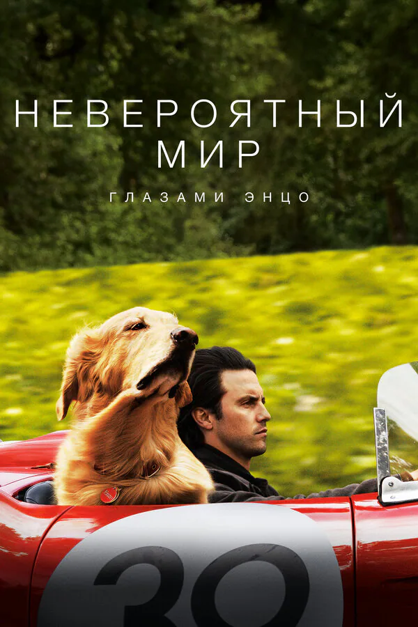 Обложка фильма «Невероятный мир глазами Энцо»