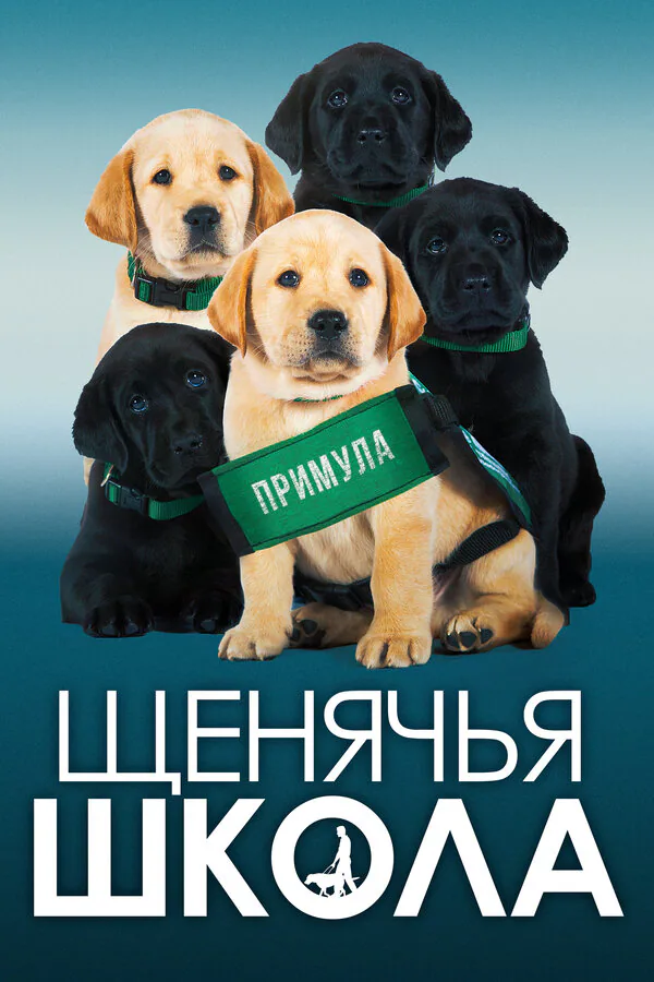 Обложка фильма «Щенячья школа»