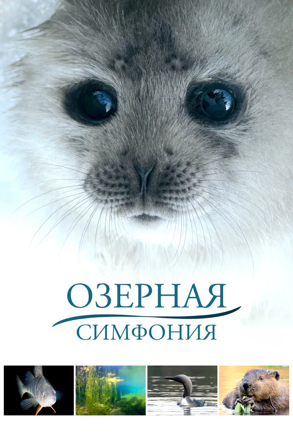 Обложка фильма «Озерная симфония»