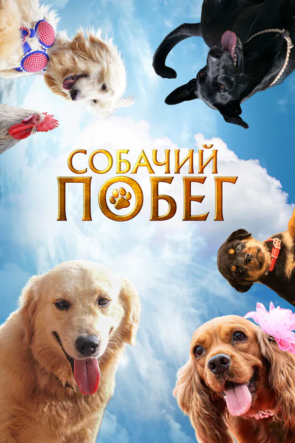 Обложка фильма «Собачий побег»