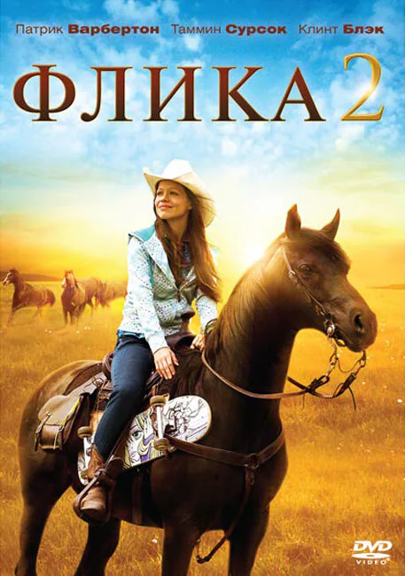 Обложка фильма «Флика 2»