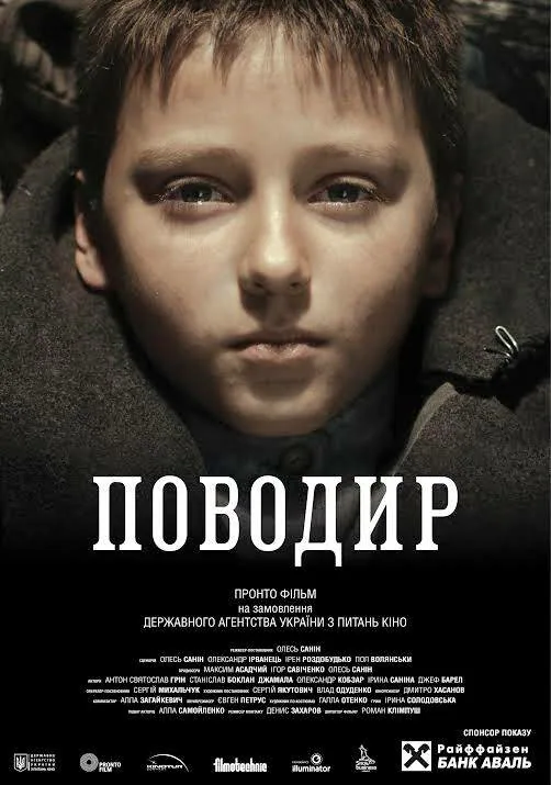 Обложка фильма «Поводырь»