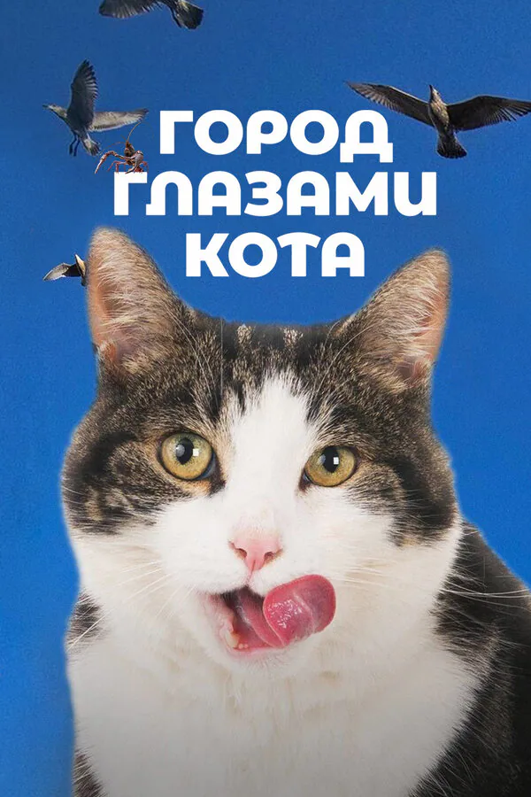 Обложка фильма «Город глазами кота»