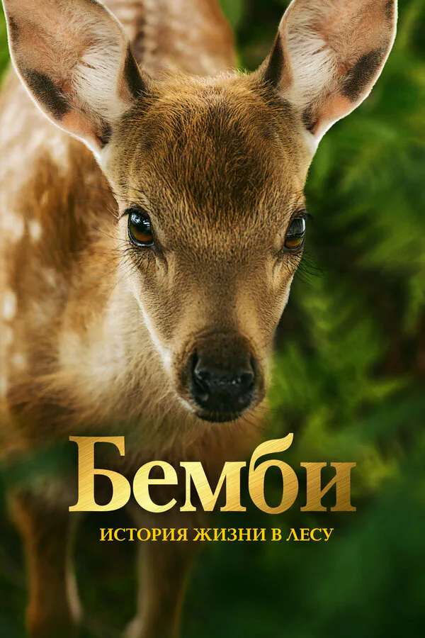 Обложка фильма «Бемби. История жизни в лесу»