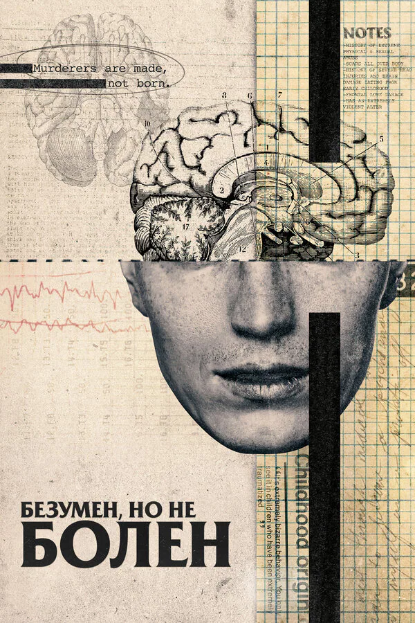 Обложка фильма «Безумен, но не болен»