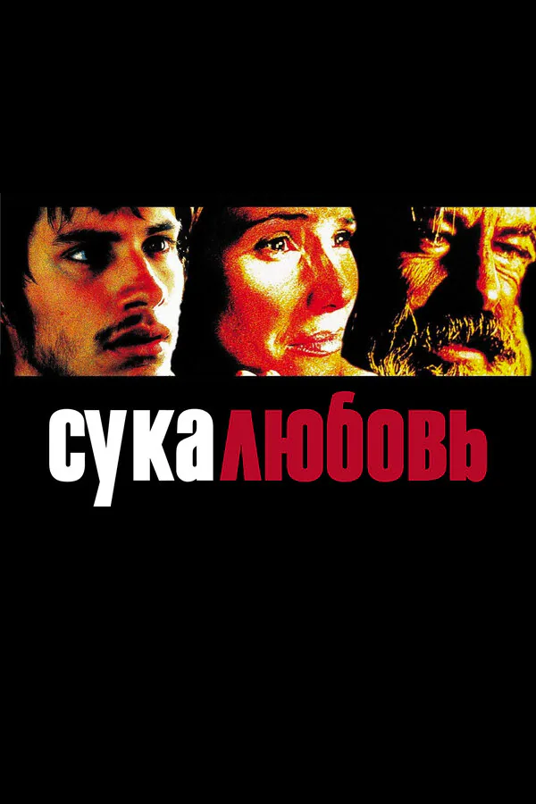 Обложка фильма «Сука-любовь»