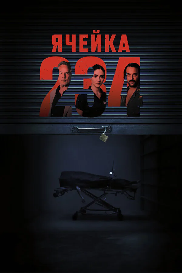 Обложка фильма «Ячейка 234»