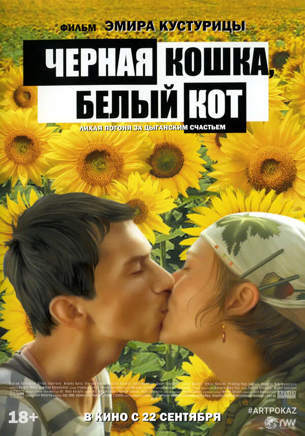 Обложка фильма «Черная кошка, белый кот»