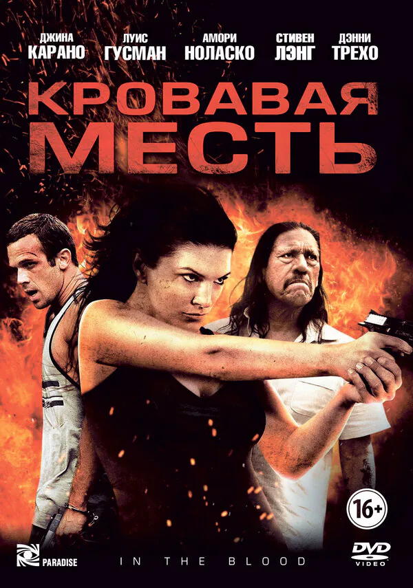 Обложка фильма «Кровавая месть»