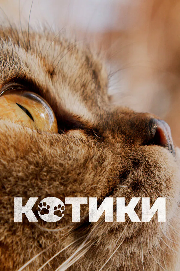 Обложка фильма «Котики»