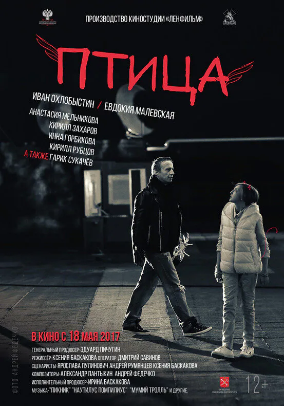 Обложка фильма «Птица»