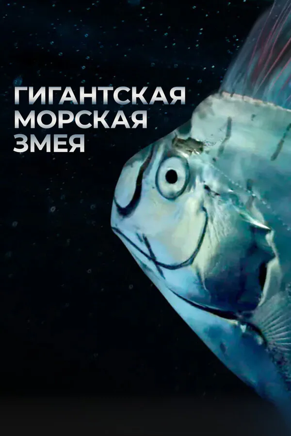Обложка фильма «Гигантская морская змея»