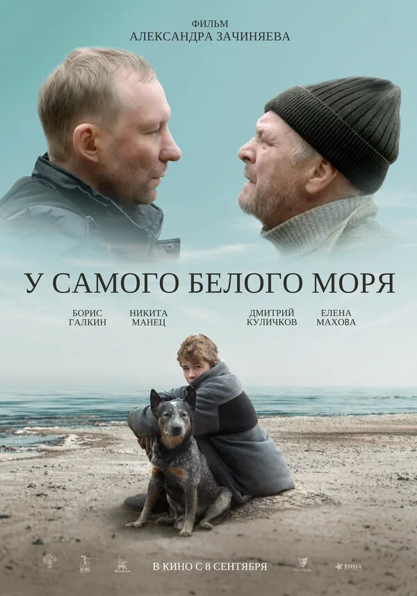 Обложка фильма «У самого Белого моря»