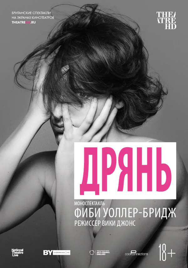 Обложка фильма «Дрянь»