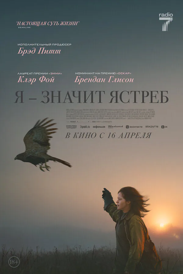 Обложка фильма «Я — значит Ястреб»
